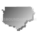 Community Unit School District 16, Illinois (Gray Gradient Fill with Shadow)