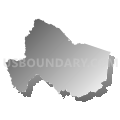 Carter County School District, Kentucky (Gray Gradient Fill with Shadow)