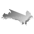St. Johnsville Central School District, New York (Gray Gradient Fill with Shadow)