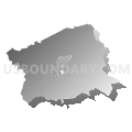 Buncombe County Schools, North Carolina (Gray Gradient Fill with Shadow)