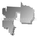 Buckeye Valley Local School District, Ohio (Gray Gradient Fill with Shadow)