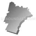 Delaware Valley School District, Pennsylvania (Gray Gradient Fill with Shadow)