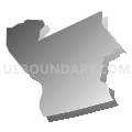 Catasauqua Area School District, Pennsylvania (Gray Gradient Fill with Shadow)