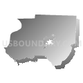Dyer County School District, Tennessee (Gray Gradient Fill with Shadow)