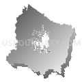 Rutherford County School District, Tennessee (Gray Gradient Fill with Shadow)