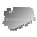 Community Independent School District, Texas (Gray Gradient Fill with Shadow)