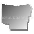 Leary Independent School District, Texas (Gray Gradient Fill with Shadow)