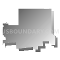 Albany Independent School District, Texas (Gray Gradient Fill with Shadow)
