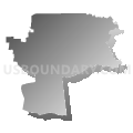 Madisonville Consolidated Independent School District, Texas (Gray Gradient Fill with Shadow)