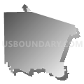 Johnson City Independent School District, Texas (Gray Gradient Fill with Shadow)