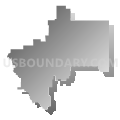 New Summerfield Independent School District, Texas (Gray Gradient Fill with Shadow)