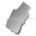 Page County Public Schools, Virginia (Gray Gradient Fill with Shadow)