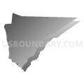 2676 - BIRDFORD Voting District, Tattnall County, Georgia (Gray Gradient Fill with Shadow)