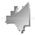 Forest City 1 Precinct, Sarpy County, Nebraska (Gray Gradient Fill with Shadow)