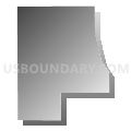 Bellevue 5-2 Precinct, Sarpy County, Nebraska (Gray Gradient Fill with Shadow)