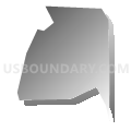 Bellevue 2-1 Precinct, Sarpy County, Nebraska (Gray Gradient Fill with Shadow)