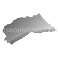 Bowman 1 Voting District, Orangeburg County, South Carolina (Gray Gradient Fill with Shadow)