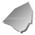 North 1 Voting District, Orangeburg County, South Carolina (Gray Gradient Fill with Shadow)