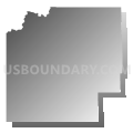 VTD-precinct CunyTable, Shannon County, South Dakota (Gray Gradient Fill with Shadow)