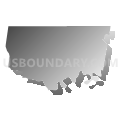 1 Voting District, Montgomery County, Tennessee (Gray Gradient Fill with Shadow)