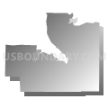 Voting District 152, Whatcom County, Washington (Gray Gradient Fill with Shadow)