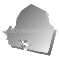 30439, Georgia (Gray Gradient Fill with Shadow)