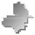 79553, Texas (Gray Gradient Fill with Shadow)